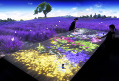 Digital Provence by teamLab